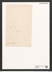 Fragilaria arctica Grun. (de-Toni-Nr.: Genus 73, Species 2714) Zeichnungen Sammlung Grunow (NHMW-BOT-W0374035)